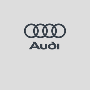 Audi hjulpakker