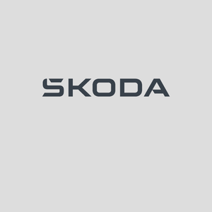 Skoda hjulpakker