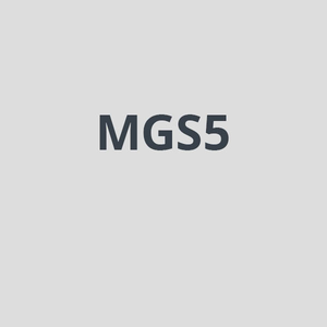 MGS5