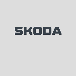 Skoda hjulpakker